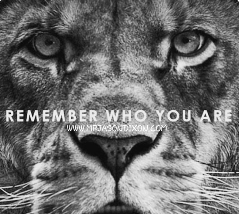 💥Don’t Doubt Yourself! You are special, different, and Great! If you need a pick me up today, or going through tough times, dig deep and find that lion!💥 “Remember Who You Are!” #BeKindWorkHardBeGreat #toughtimesdontlastpeopledo #digdeep #grit #confidencebreedsdominance