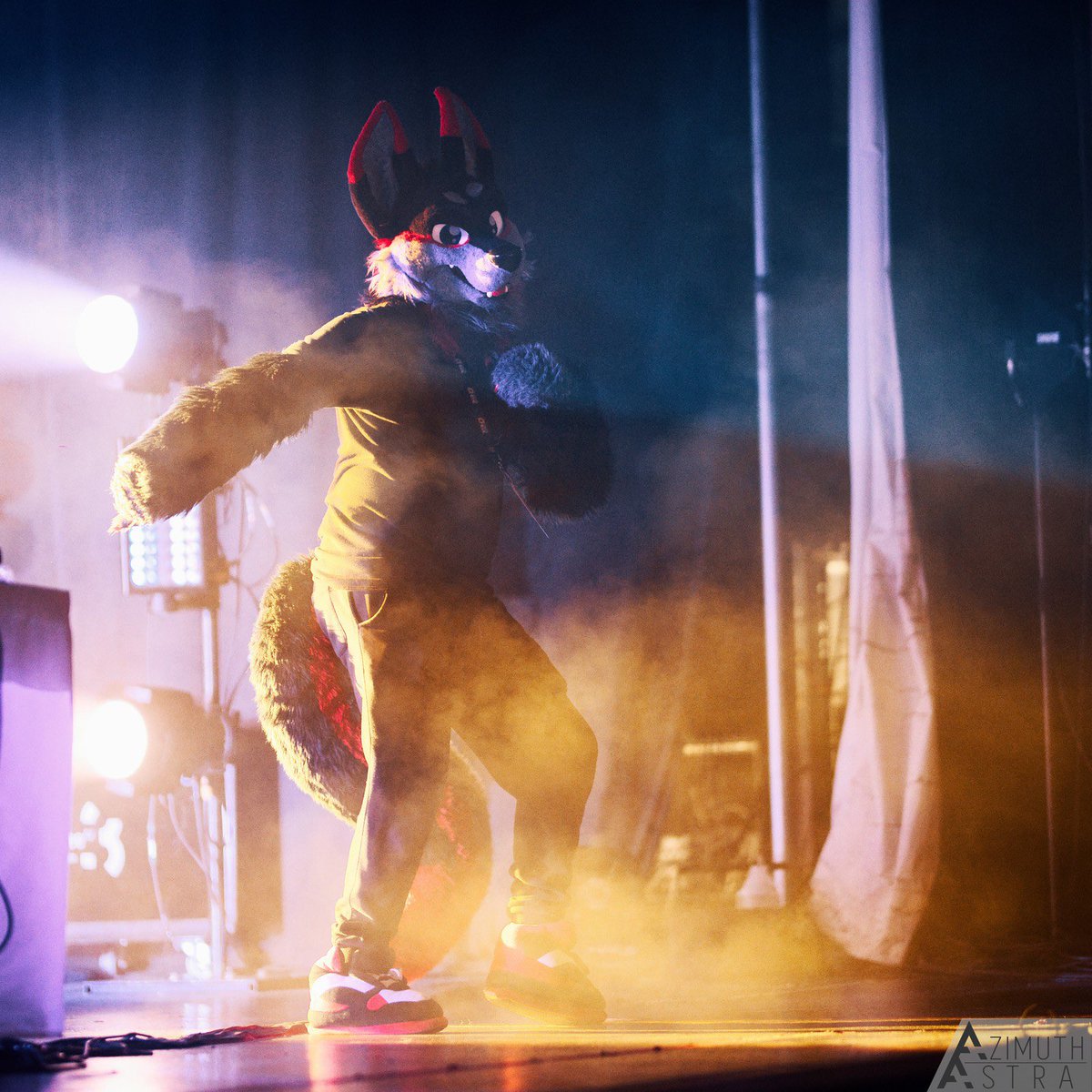 Dancin’ to that #FursuitFriday feeling! Hope all of you fluffers had a good week, we made it to the weekend! Go have fun, be silly, tell yer furriends ya love them. Be like Remus~ 📷: @AzimuthAstra