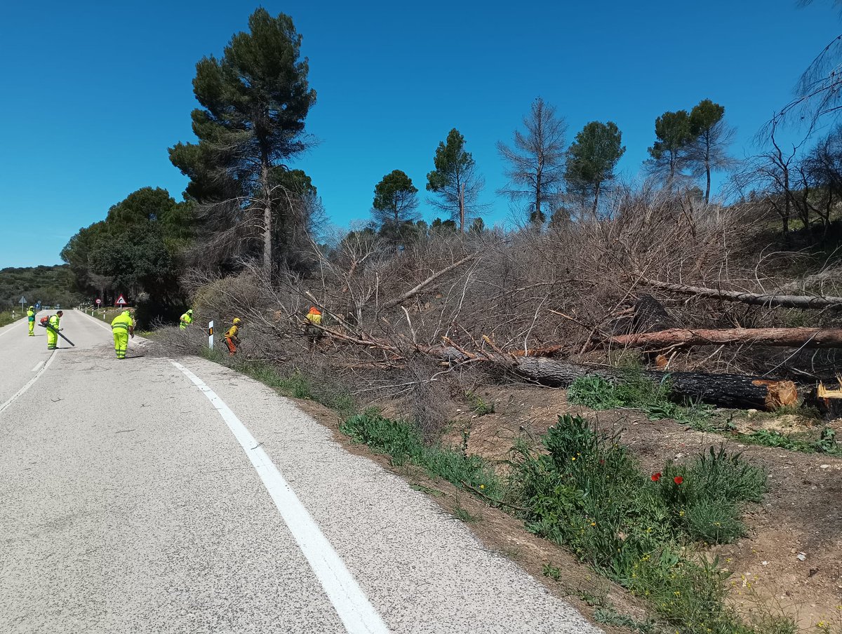 Plan_INFOCAM's tweet photo. Os dejamos una muestra de los trabajos realizados esta semana de apeo de arbolado afectado por el  #IFRuidera en #CiudadReal dentro de proyecto de tratamientos selvícolas preventivos de #IIFF en colaboración con @DGT_es y #Fomento de @gobjccm. https://t.co/HpfRE28Izg
