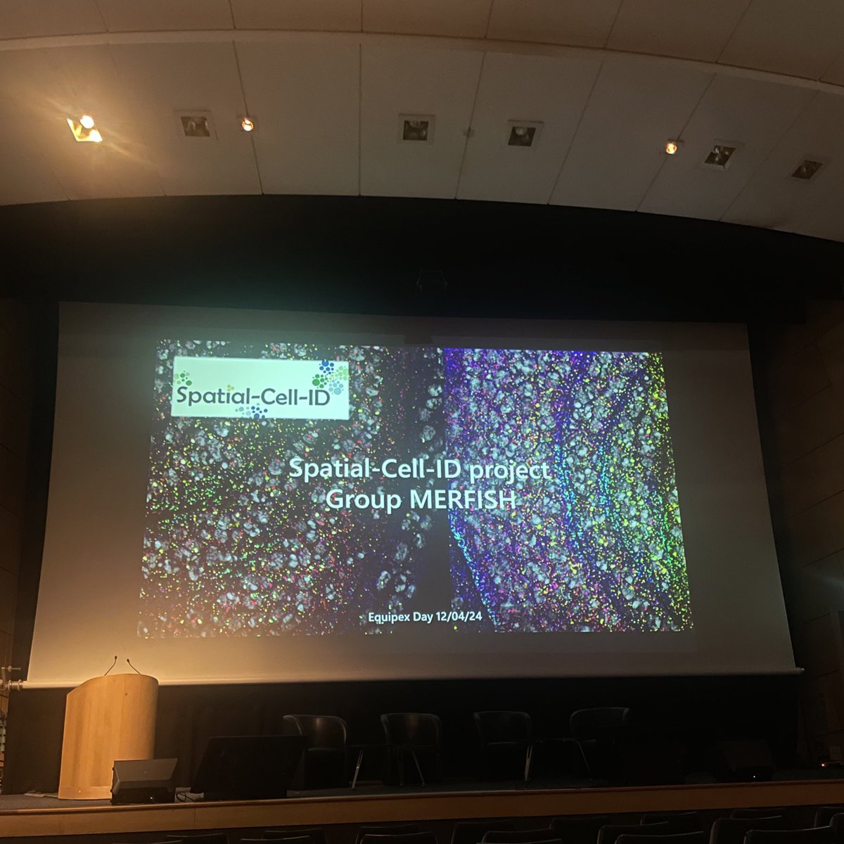 camil_g's tweet photo. Today is @Spatial_Cell_ID day! Ending by @TheEnriquezLab talk from the MERFISH group on the new advances on this beautiful technology 👌🧬 https://t.co/lzmGQwxlg6