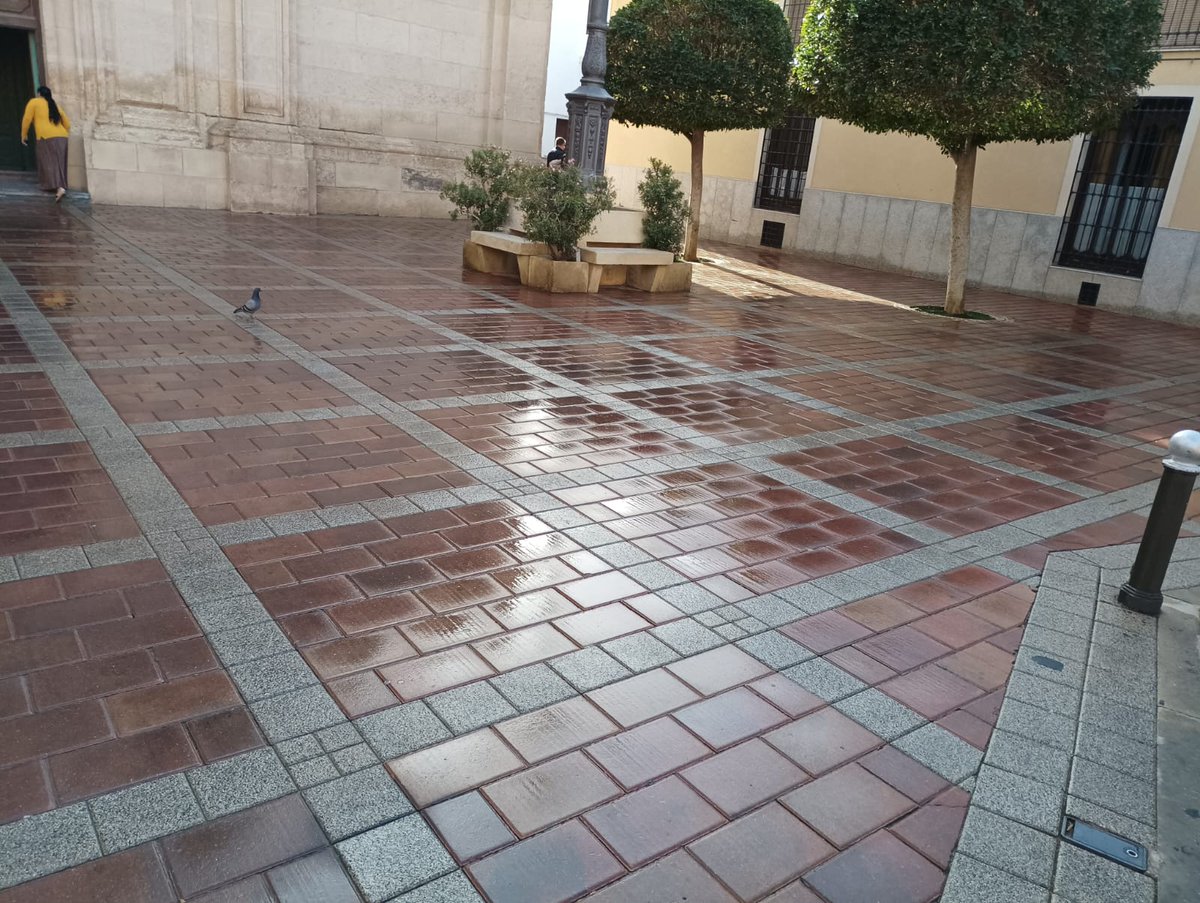Desde bien temprano trabajando en el mantenimiento de nuestra ciudad limpia.😊

Aquí te mostramos plaza Eduardo Linares y plaza Iglesia de la Asunción.😍🧹

#EnamoradosdeNuestraCiudad
#MolinadeSegura