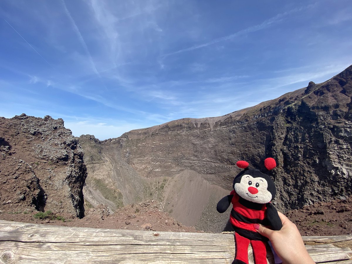 Miss Li 🐧 tweet media