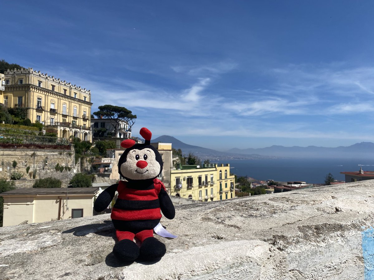 Miss Li 🐧 tweet media