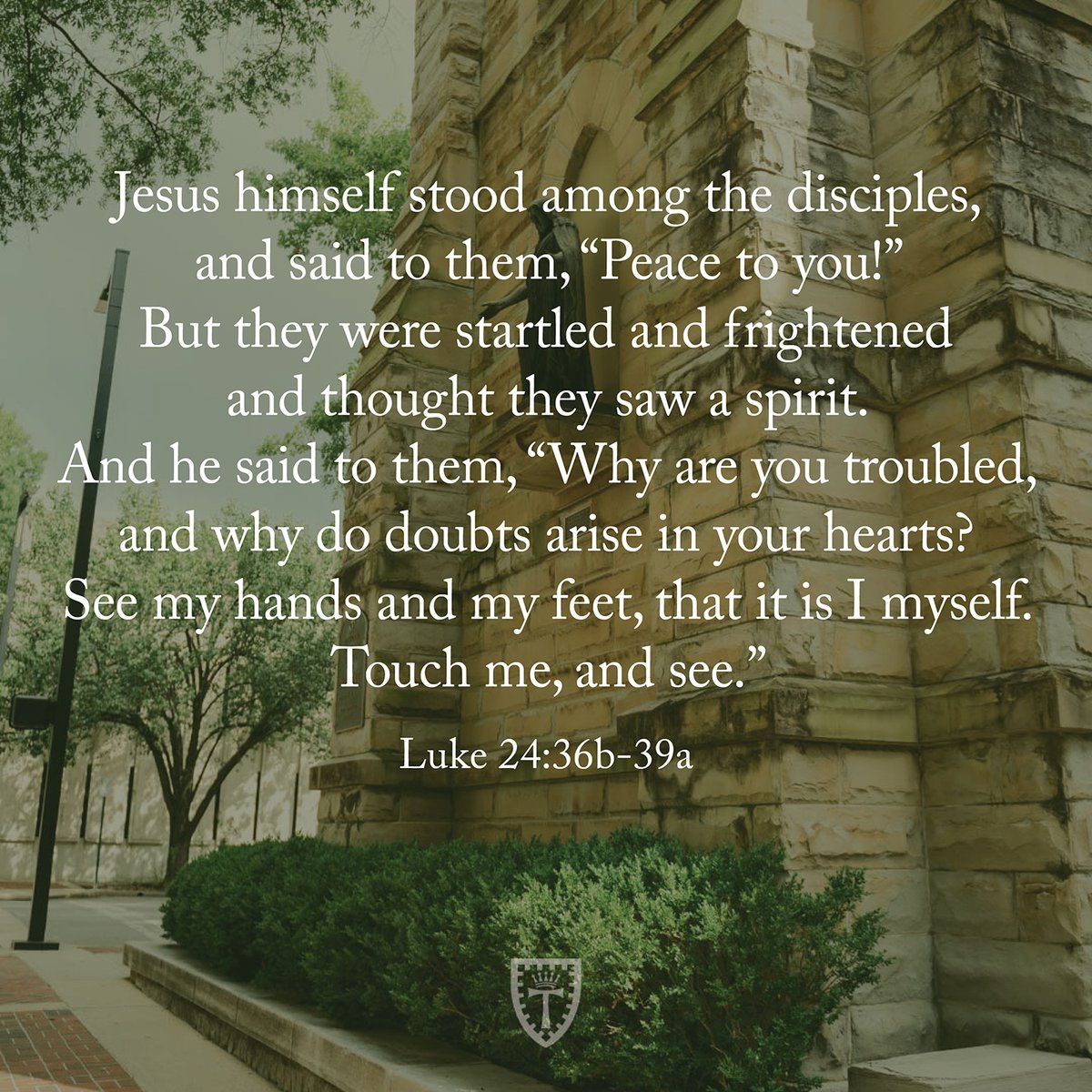 Jesus himself stood among the disciples, and said to them, 'Peace to you!' But they were startled and frightened and thought they saw a spirit... Luke 24:36b-39a