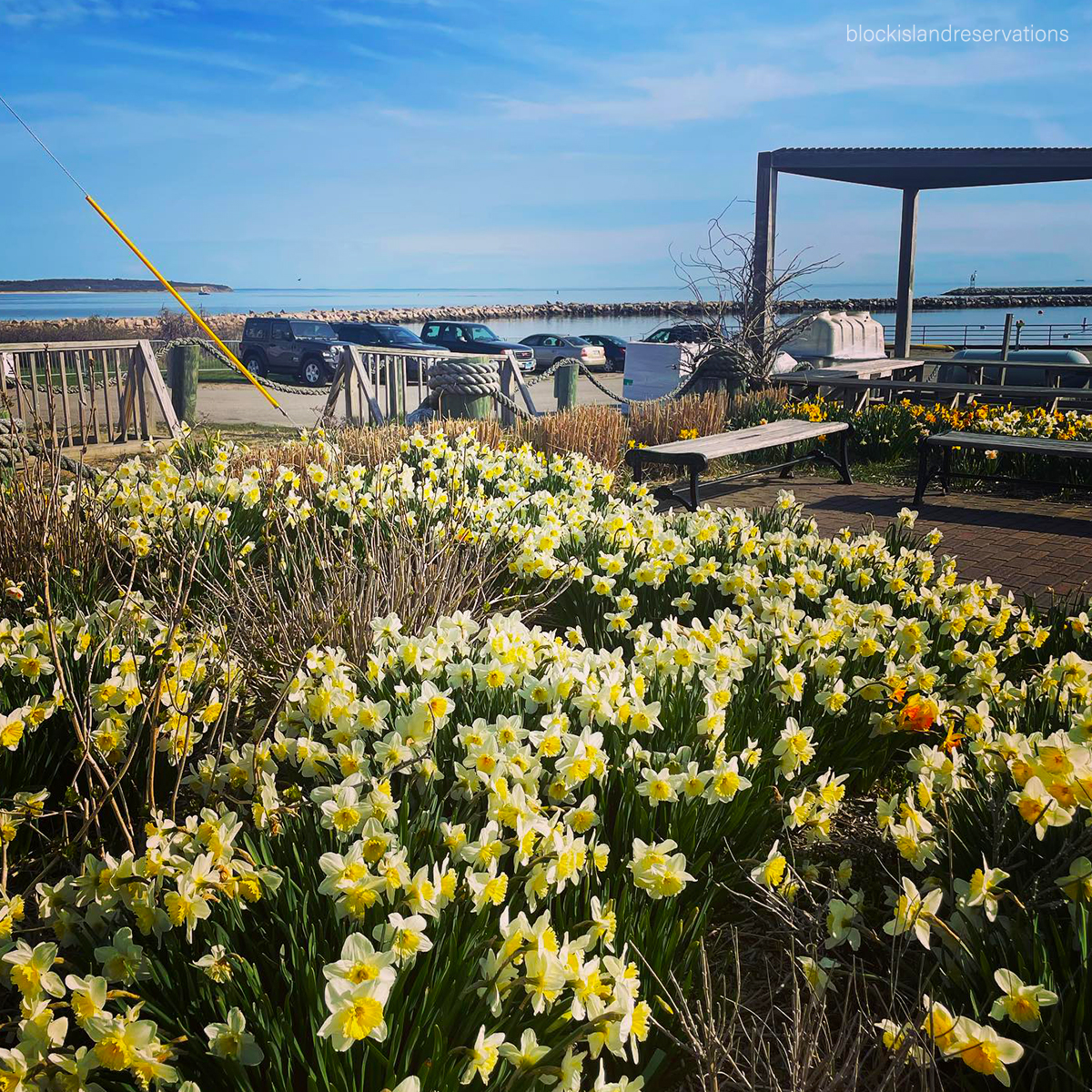 BlockIsleFerry's tweet photo. April showers bring May flowers, but on Block Island, April brings tranquility and seaside charm. Who's ready for a peaceful getaway?
#AprilGetaway #BlockIslandMagic #BIF #BlockIsland #SailAway #BlockIslandFerry https://t.co/1mLyEwXgmZ