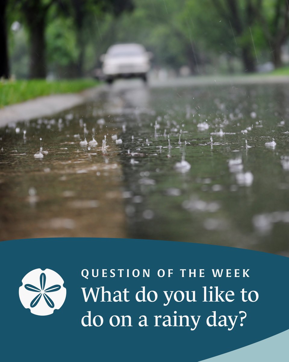 Tell us: What do you like to do on a rainy day?