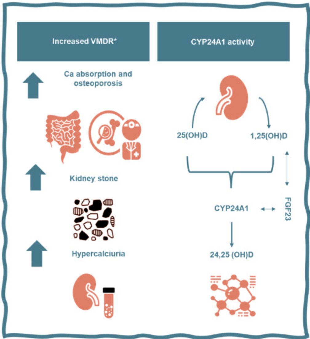 KIReports's tweet photo. The Implications of the Vitamin D Metabolite Diagnostic Ratio in the Assessment of Patients With Idiopathic #Hypercalciuria
https://t.co/dFq8U1vWQk
Original Article: https://t.co/8GBjSQdH2r
#KIRCommentary #VitaminD https://t.co/izLniDCclz