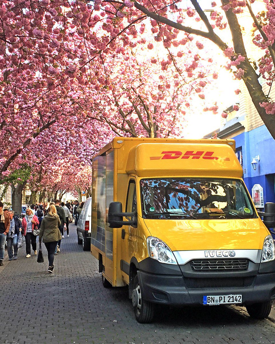 As spring unfurls its beauty with cherry blossoms, our DHL delivery fleet embarks on their daily mission to spread joy and convenience. 🌸 #CherryBlossoms #Springishere #Spring2024