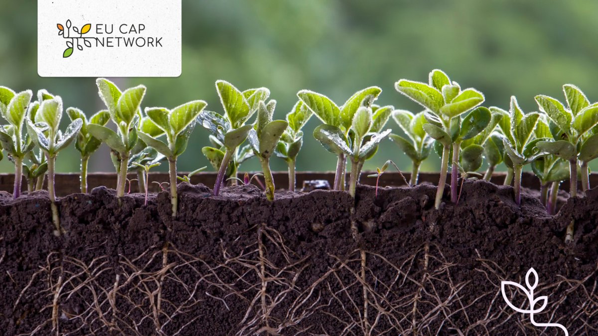 #MissionSoil is ready to release the topics for its 2024 calls soon! 📆 Make sure to attend the online info days event on 25-26 April 2024. 👉Read more about it here: bit.ly/3U7ACum @EUAgri