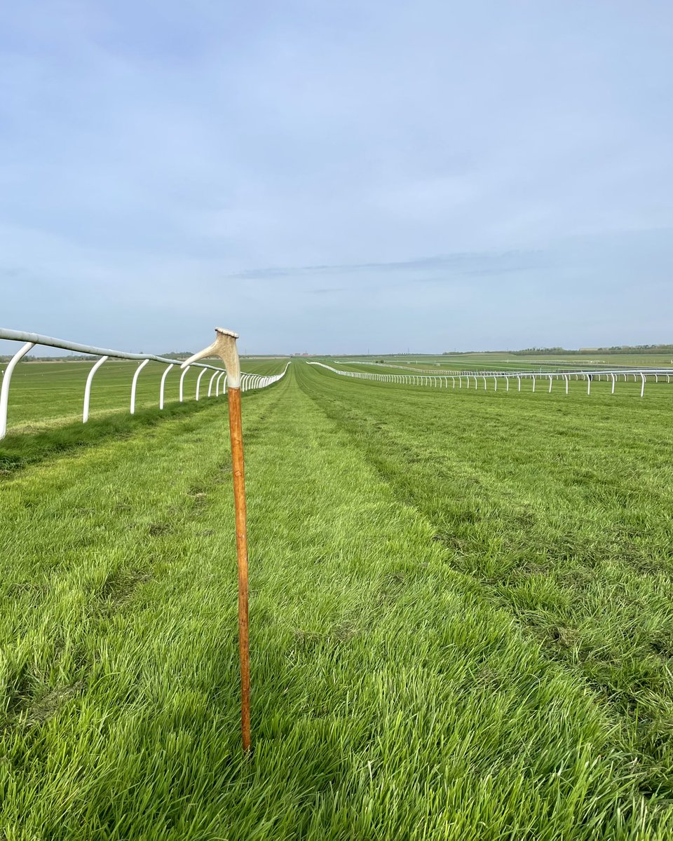 The breeze track on @NewmarketRace’s Rowley Mile looking 😍 ahead of the #TattsCraven Breeze Up Sale. @NewmarketGallop 👏👏👏