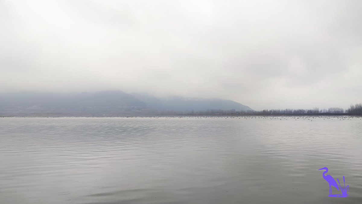 Seedstechnical's tweet photo. India is home to many #wetlands of international importance. We are proud to partner with GIZ for developing a #CEPA strategy for citizen engagement in wetlands management, specifically for Jammu &amp; Kashmir
#wetlandconservation #nbs #climatechange #citizenengagement #JammuKashmir https://t.co/zYTqYXbYfi