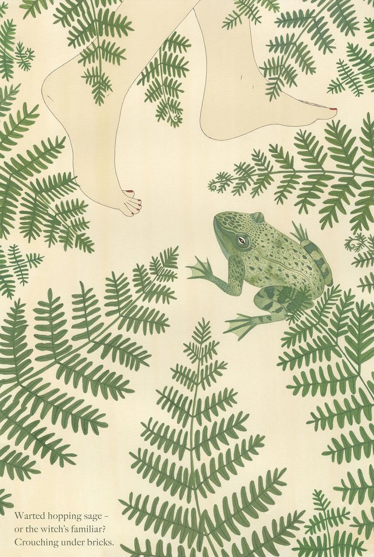 🖼️ Harriet Lee-Merrion #FrogForFriday