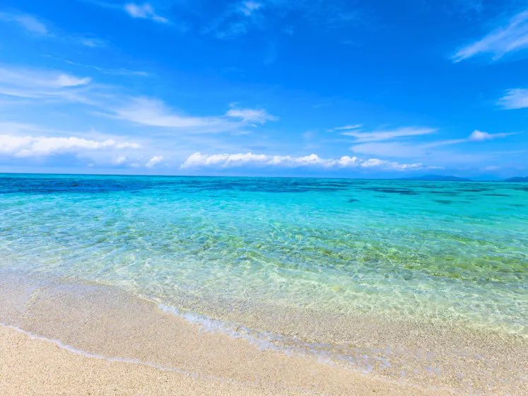 coinpicksjapan's tweet photo. 【GW &夏休みにオススメの宿】
めちゃくちゃオススメしたい場所🏖
石垣島に僕の知人がヴィラをオープンしました🎉石垣島の綺麗な海が望めるオーシャンビューでしかもプール＆ジャグジーが���いて��ます。夕陽も綺麗。しかもかなり広くて家族で利用するのもオススメです。オープンしたばかりでまだ予約できる日が多いですし石垣島の他のヴィラと比較しても格安です。大人数でも金額は変わりません。多くの方にお知らせしたいのでRT貰えたら嬉しいです。※ステマではないですw

石垣島ヒルズ
https://t.co/JVaK69CSt6

これ凄いので見てください
https://t.co/URpOcFNjZK