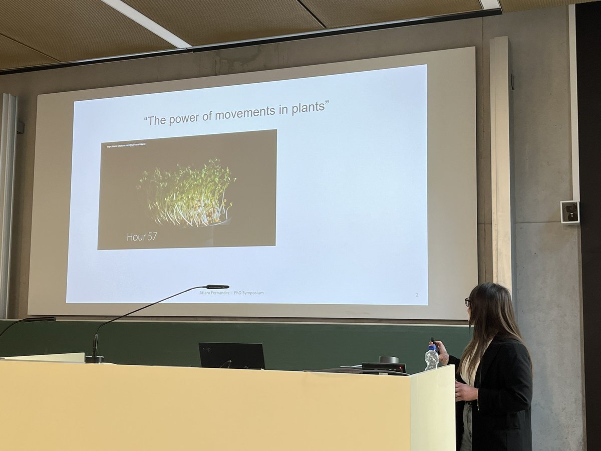 Afternoon session of the 8th ZMBP PhD Symposium- Atiara (Oecking lab) talks about „The power of movement in plants“