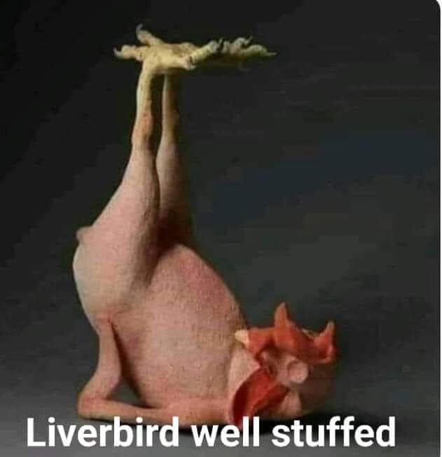 🙈 #MUFC_FAMILY 🙈 oh we do love it when the scum pool get stuffed and have their arses walloped 😂😂😂 @AnnetteH0526 @Benniewilson111 @2PACMUFC @refc160 @PhilHowarth @john_nufc42 @tedio74 @wumaufu77 @MrIslandMan67 @UTDFOREVER58 @dazzamufc99