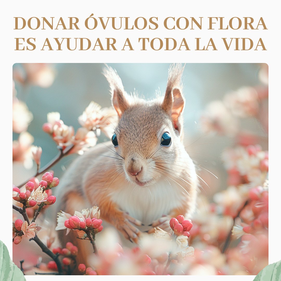 🌱🥚 Dona óvulos, siembra vida. Con cada donación, ayudamos a reforestar el planeta. Sé parte del cambio con Yo Soy Flora. 🌳💚 #YoSoyFlora #DonacionDeOvulos #Reforestacion #Vida