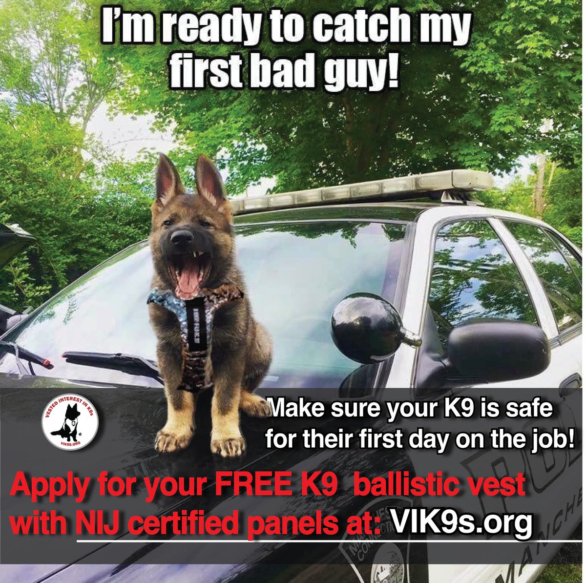 Make sure your #K9 stays #safe in the #lineofduty their first day on the #job!
Apply for your #FREE #Vestedinterestink9s ballistic vest at:
bit.ly/3Jgthm7

#workingdog #k9s #dog #dogs #policedog #policedogs #k9unit #k9handler #puppy #germanshepherd #gsd #lawenforcement
