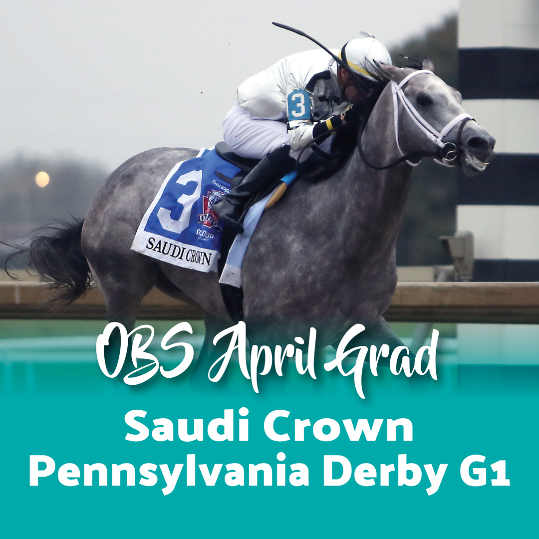 Saudi Crown (Always Dreaming) a 2022 OBS Spring grad purchased for $240k to Faisal Mohammed Alqahtani has earned almost $3 million in 8 starts. He won the G3 Louisiana S. Presented by Relyne G1 by Hagyard and the G1 Pennsylvania Derby. OBS Spring is on April 16 - 19.