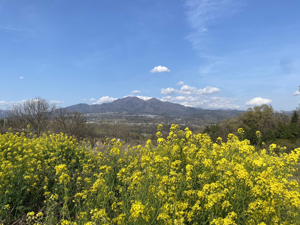 韮崎市の新府桃源郷。
桃の花が見頃でした☺️