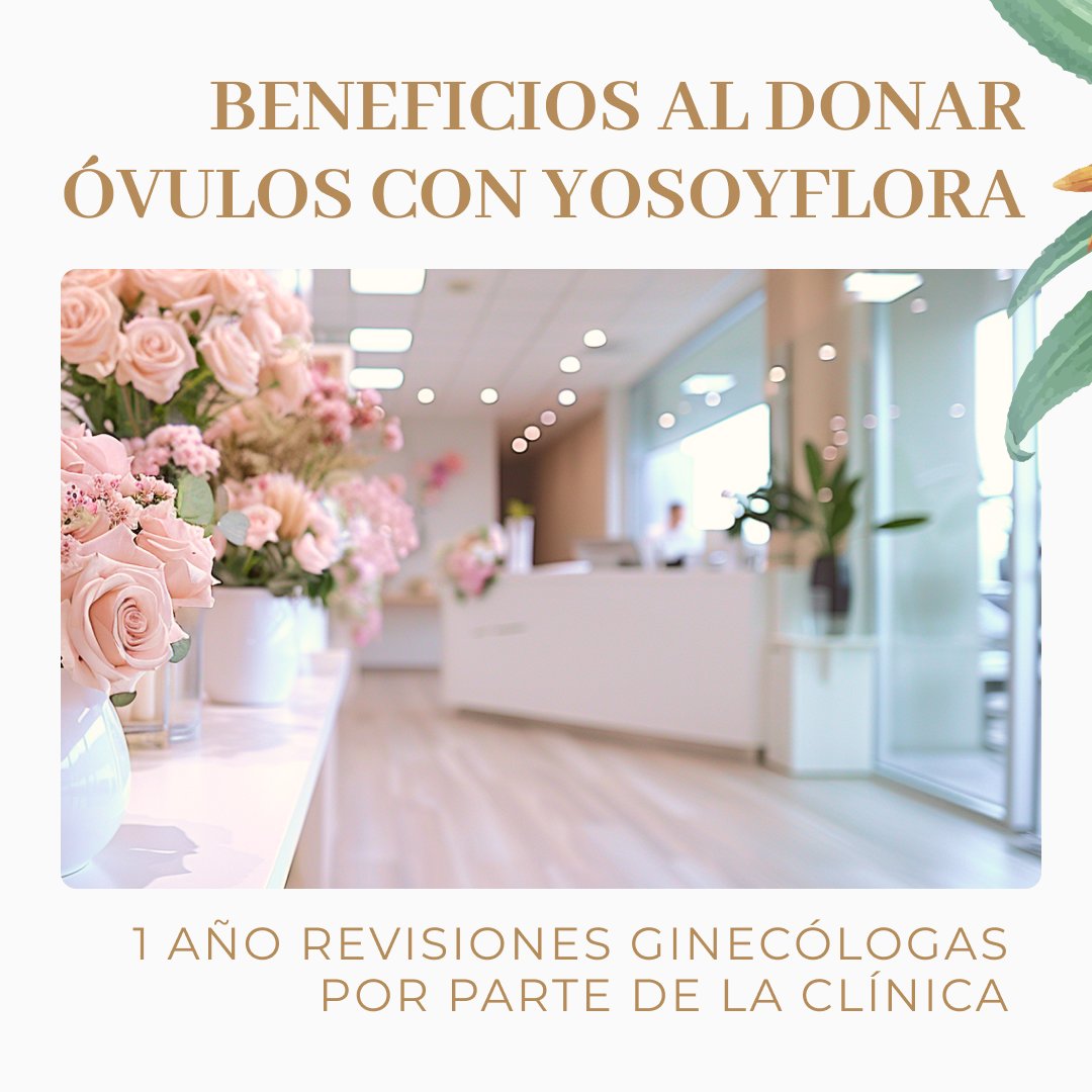 Únete a nuestra comunidad en #YoSoyFlora 🌸 y recibe un año de revisiones ginecológicas GRATIS con tu donación, por parte de la clínica. ¡Cuidamos de ti mientras ayudas a otros a cumplir su sueño de formar familias! 🩺🌼 #DonaciónDeÓvulos #CuidadoFemenino #SaludReproductiva