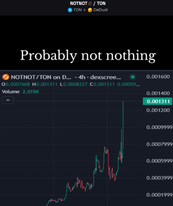 This isnt a #solana play, its a $TON play. And it is going to play out in a major way.

$NOTNOT, its not NOT coin.

Just smashed 1M MC. This is a clear top #5 $TON coin in the making.

Highly recommend looking into these guys.