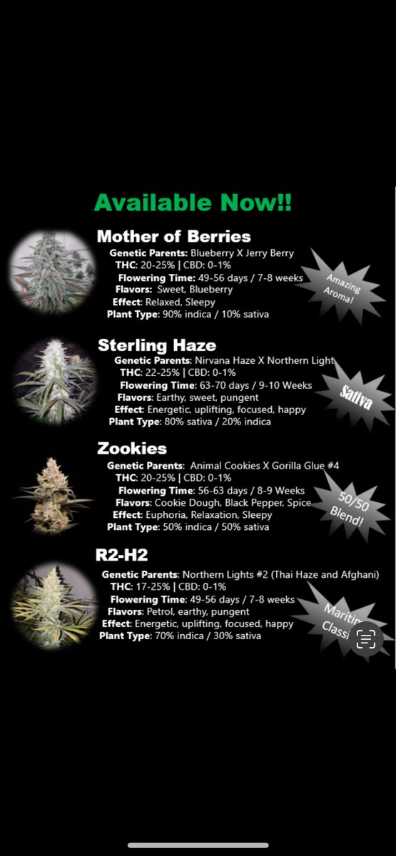 Hidden Harvest Cannabis Nursery tweet media