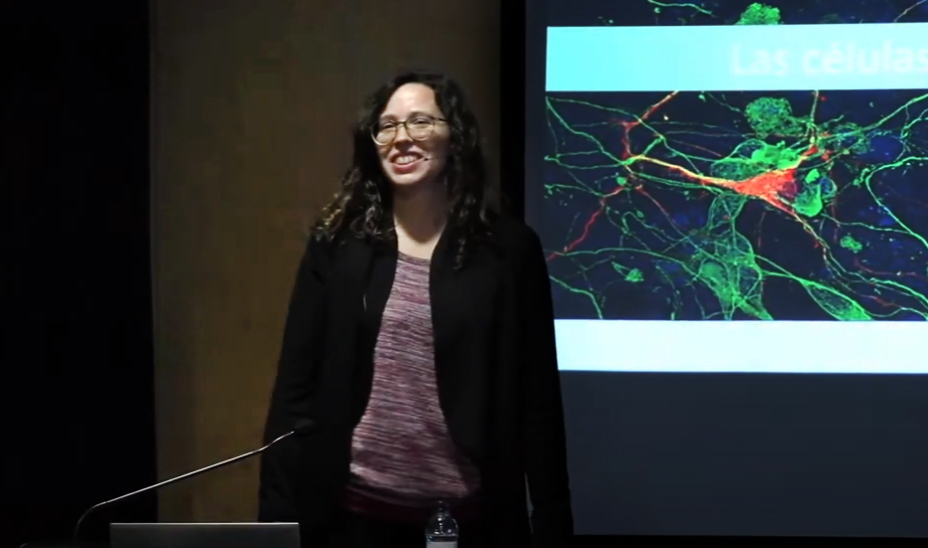 Institut de Recerca Sant Pau (@irsantpau) on Twitter photo La Dra. Alba Tristán, investigadora postdoctoral en Neurociència, va oferir una xerrada al <a href="/NavasCC/">CC Navas</a> sobre les cèl·lules mare i els diferents tipus que hi existeixen i com l’experiència dels pacients pot fer millorar el disseny dels estudis i la seva aplicació🧫 La Dra. Alba Tristán, investigadora postdoctoral en Neurociència, va oferir una xerrada al <a href="/NavasCC/">CC Navas</a> sobre les cèl·lules mare i els diferents tipus que hi existeixen i com l’experiència dels pacients pot fer millorar el disseny dels estudis i la seva aplicació🧫