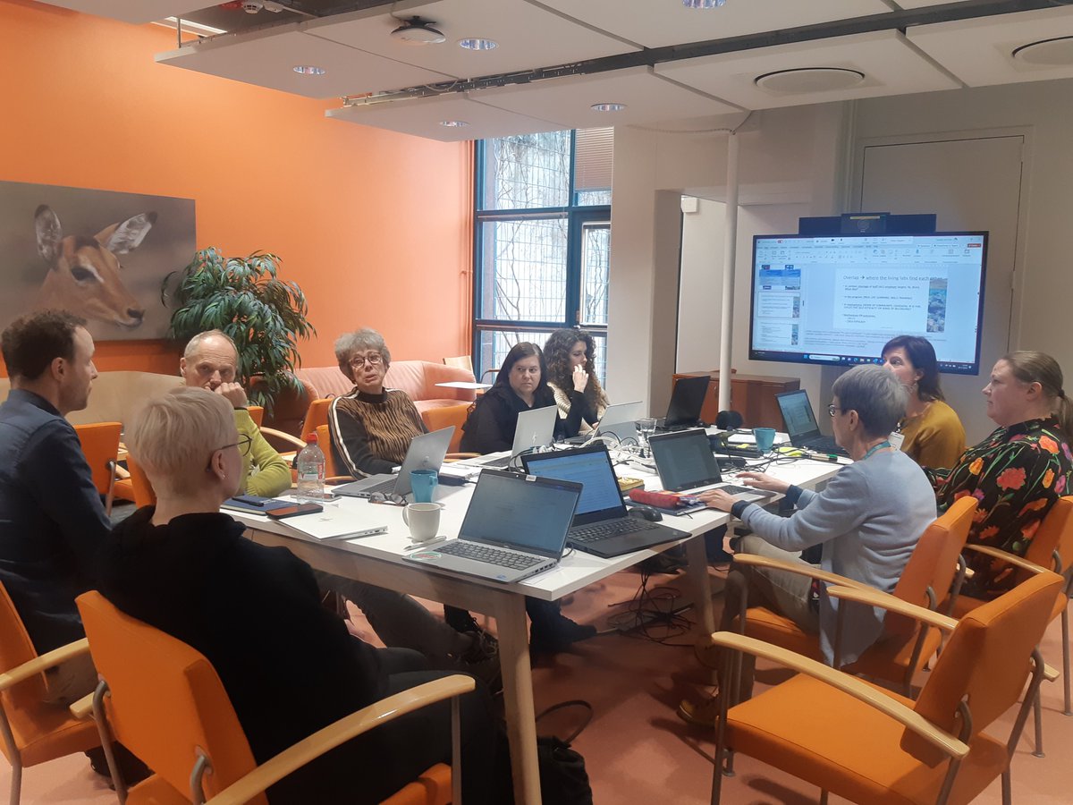 #SYNCLUSIVE research partners had their second Realist evaluation training led by Suzanne van Hees, Ph.D. during the annual meeting in Helsinki! Stay tuned as we explore factors aiding vulnerable groups in employment and career growth. #PositiveChange Photo credit: ARC Fund