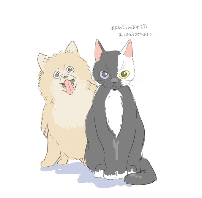 「黒猫」のTwitter画像/イラスト(新着｜RT&Fav:50)｜4ページ目