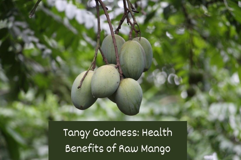 Health Benefits Of Raw Mango Know more: uniquetimes.org/health-benefit… #uniquetimes #LatestNews #rawmango #kacchamango #digestion #eyehealth #nutritiontips