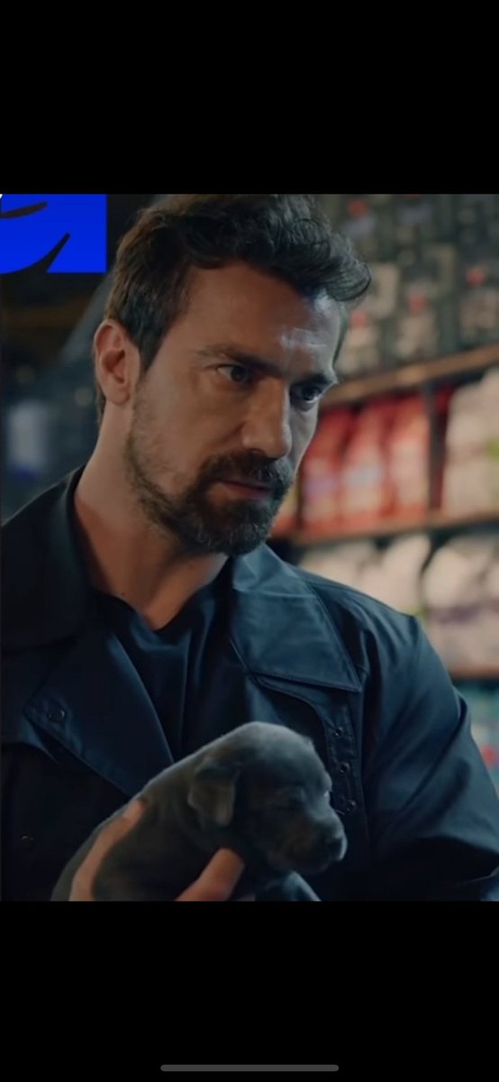 tokatrecords's tweet image. Oturdum gaddarda İbomu izliyorum 

Çok özlemişim yüzünü sesini oyunculuğunu ♥️

#İbrahimÇelikkol #Korkut #Gaddar