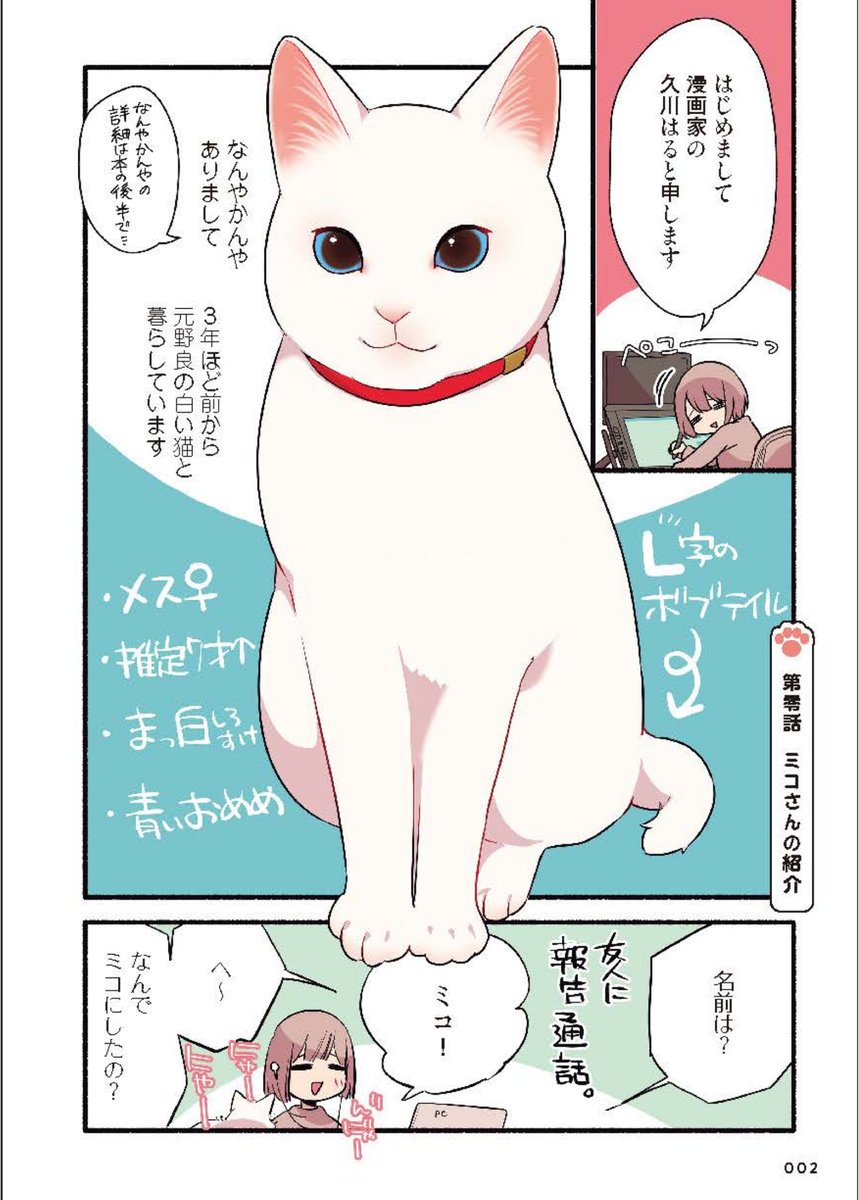 ミコさんがなんで「ミコさん」になったかの話
(1/2)
 #漫画が読めるハッシュタグ
 #愛されたがりの白猫ミコさん 