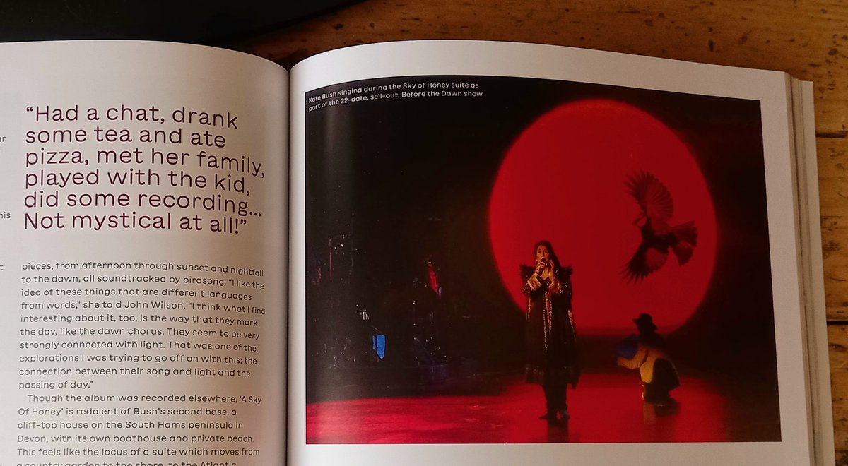 'It captures not just a single day, but an entire life.' Pleased to see my piece for @DiscoxPogo on #KateBush 'Aerial' looking very lovely in the flesh. 12 pages of KB in total + loads more excellent writing. Do support this terrific magazine if you can. discopogo.ochre.store