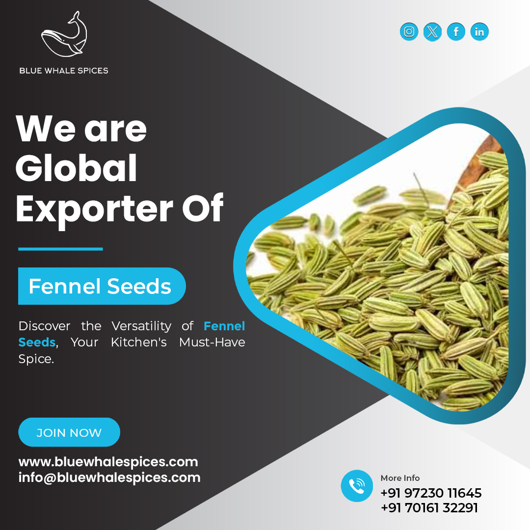 Exporting Excellence
We are Global Exporter of Fennel Seeds.
Contact Us:
+91 9723011645
+91 7016132291
info@bluewhalespices.com
Visit Our Website:
bluewhalespices.com
#bluewhalespices #spices #indianspices #spicesexporter #export #exportbusiness #exportimport #fennelseeds