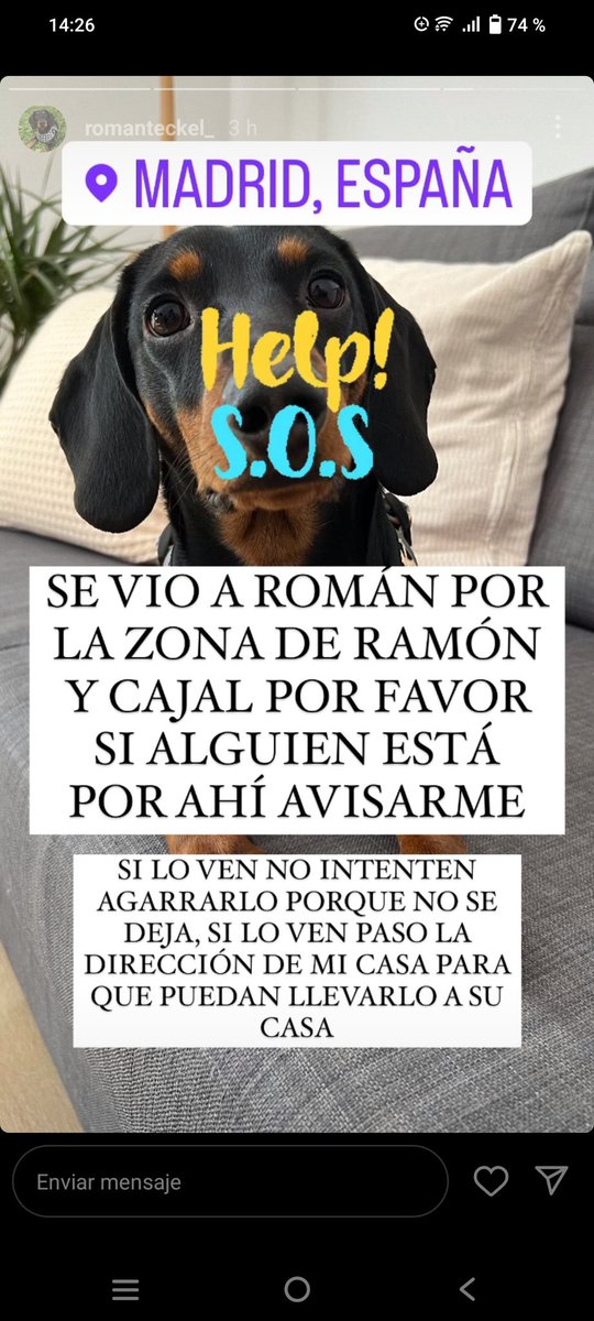 ‼️DIFUSIÓN POR FAVOR‼️

Se ha perdido este Teckel en LA CASTELLANA EN MADRID y ha sido visto por última vez en la zona de RAMÓN Y CAJAL.

Responde al nombre de ROMÁN.