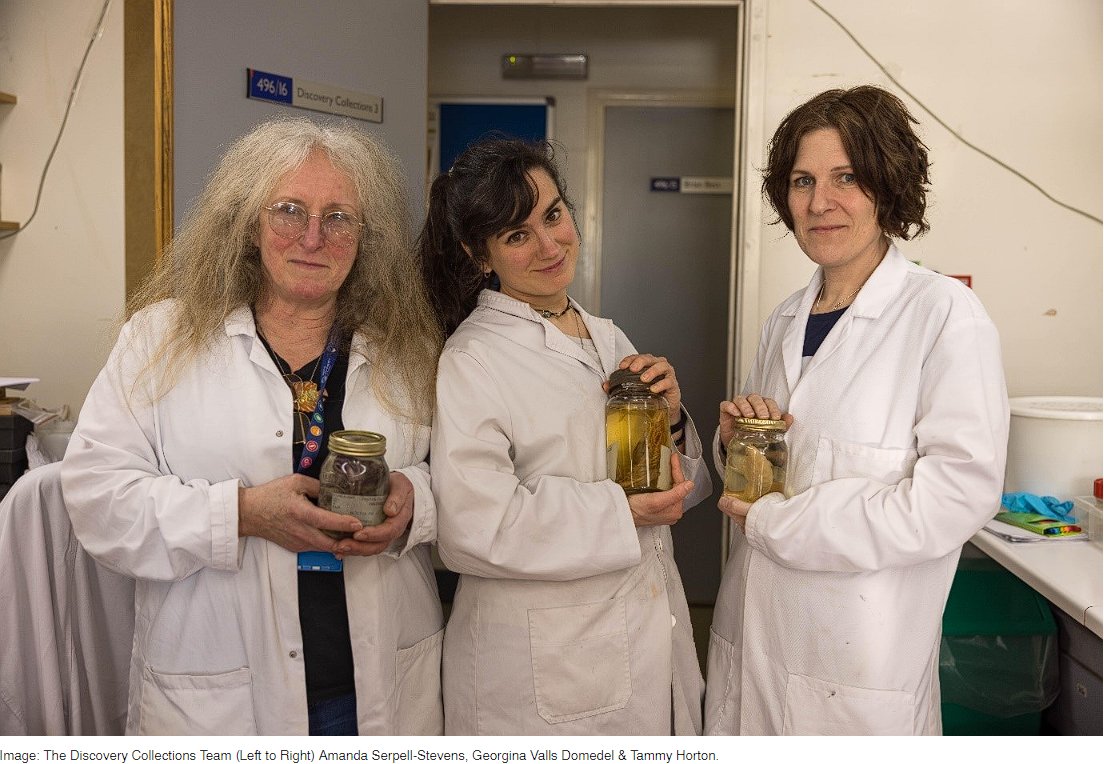 blogs.noc.ac.uk/ocean-horizon/…

The DEEPEND Project Sponge Identification &amp; Training Workshop #deepsea #ocean #marinebiodiscovery #DEEPEND <a href="/MBC_UoA/">Marine Biodiscovery Centre, UoA</a>