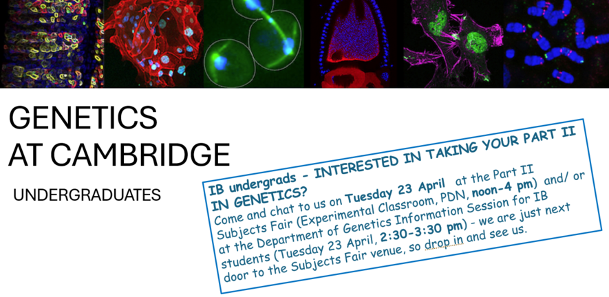 Interested in taking your Part II in Genetics? Come along to the Part II Subjects Fair and find out everything you need to know! 📅 Tuesday, 23 April 🕛 12 - 4pm 📍Experimental Classroom, Dept. of PDN 📍Or Dept. of Genetics (2:30-3:30pm)