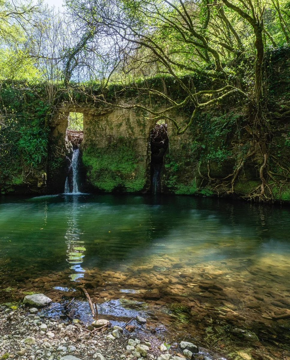 Le Gole del Biedano si trovano nel Parco Regionale Marturanum. Potrete ammirare forre scavate da torrenti nei pianeggianti tavolati di tufo e colli argillosi a boschi e pascoli. Per saperne di più parchilazio.it/marturanum 📸 IG stevaleri #VisitLazio