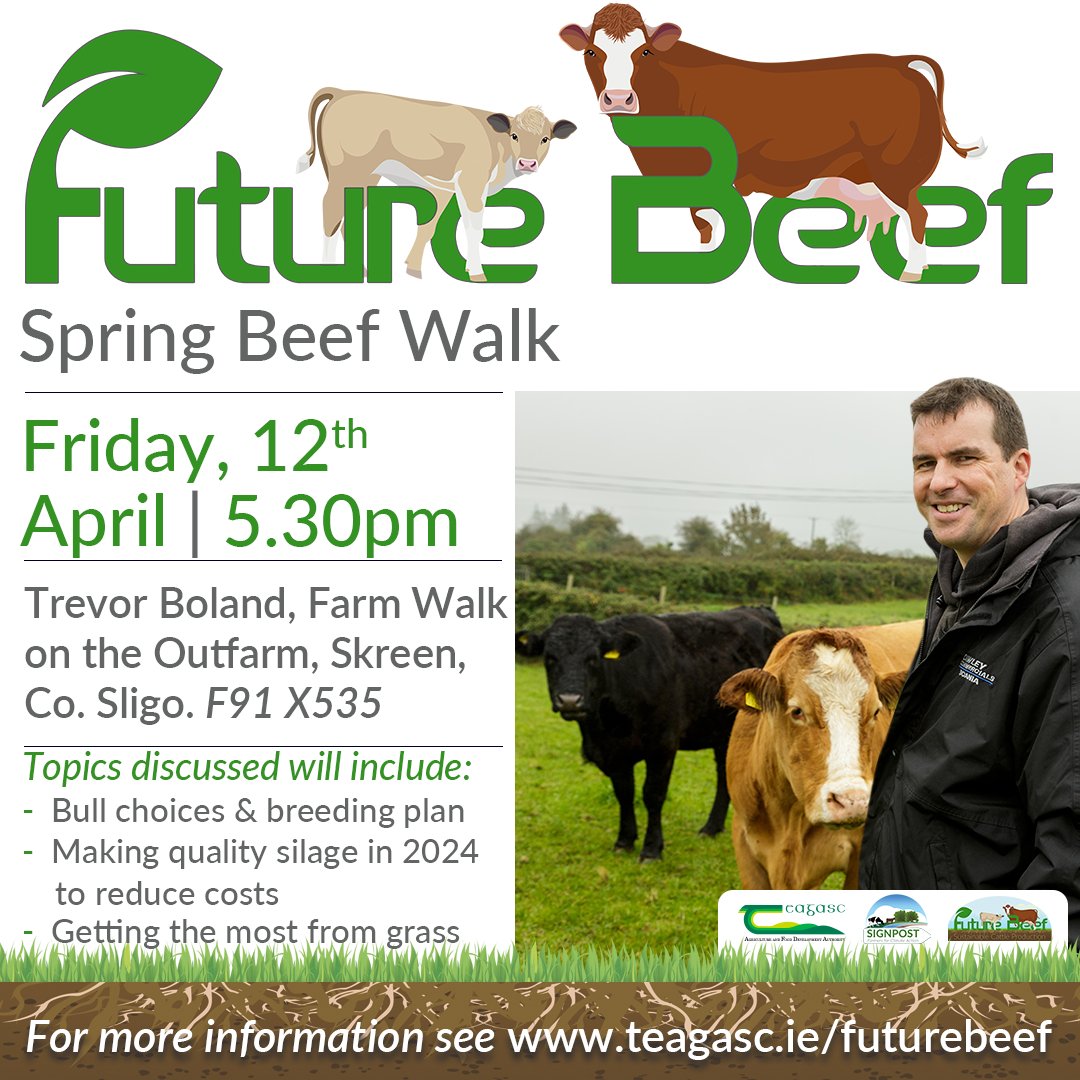Join us today, 12th April at 5:30pm for a Spring Beef Walk on the outfarm of #FutureBeef Farmer Trevor Boland in Skreen, Co. Sligo. Find out more as to what to expect here bit.ly/3V8xuzk @TeagascBeef @TeagascSLD @TeagascSignpost