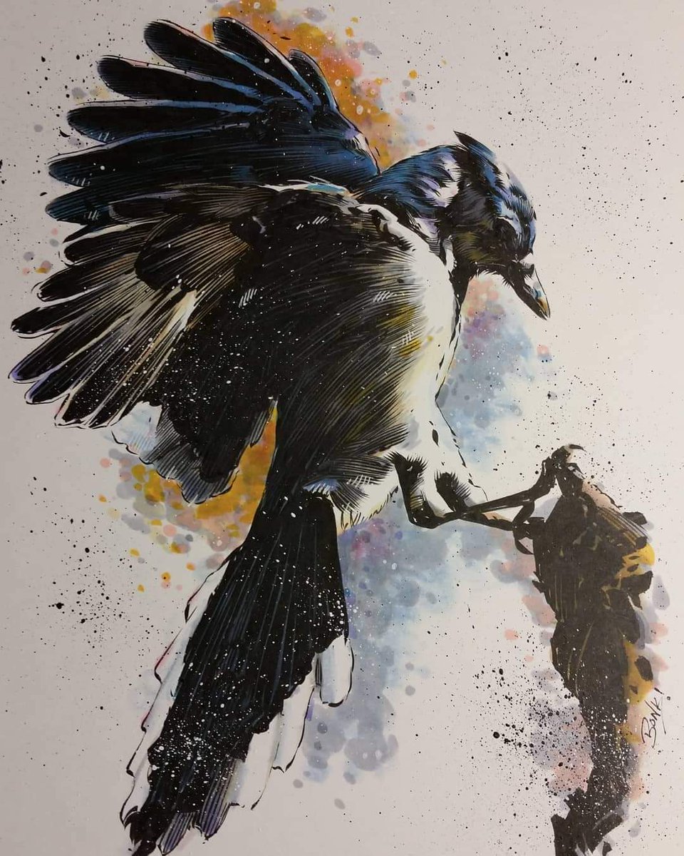 Here's an illustration of my favorite backyard bird.  Pentel pocketbrush and alcohol markers.