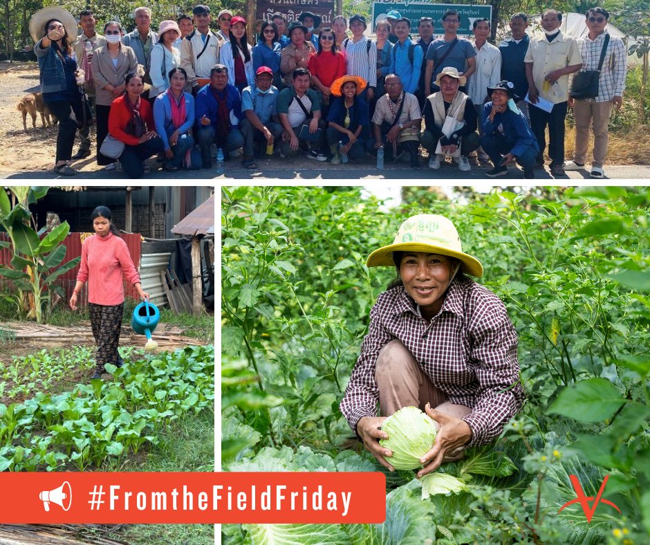 #FromtheFieldFriday 📢 Exciting news! Last month, our #AGROW project in #Cambodia empowered 20 farmers with a 4-day study tour in Thailand, to boost their skills in #sustainable #agriculture and animal-agriculture integrations while also visiting successful demonstration farms!