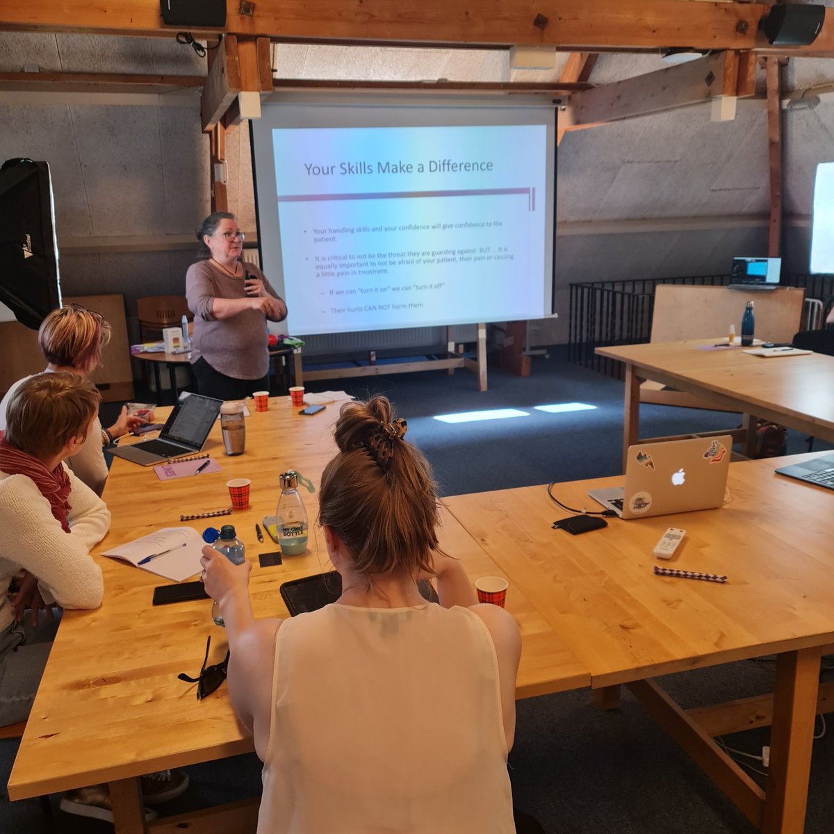 "Pain doesn't mean broken" @SandyHiltonPT with #paingeeks helping us to manage our fear of pain and the pain of the people we work with. We don't want people to feel more pain because of what we do, but if they do, this is an opportunity step back and readjust.