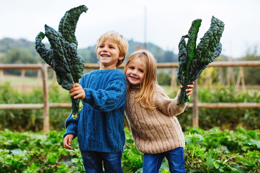 Cheers to a nutrient dense, green, leafy veggie with inflammation properties!

Kale is anti-inflammatory & has relatively high antioxidant properties as well. 

#FoodAsMedicine #AntiInflammatory