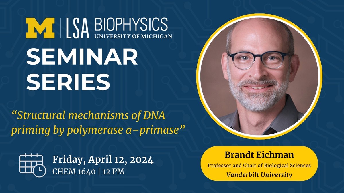 Today's #MichiganBiophysics Seminar Speaker is Brandt Eichman from Vanderbilt University. ⏰ When: Today, 12pm 📍 Where: CHEM 1640