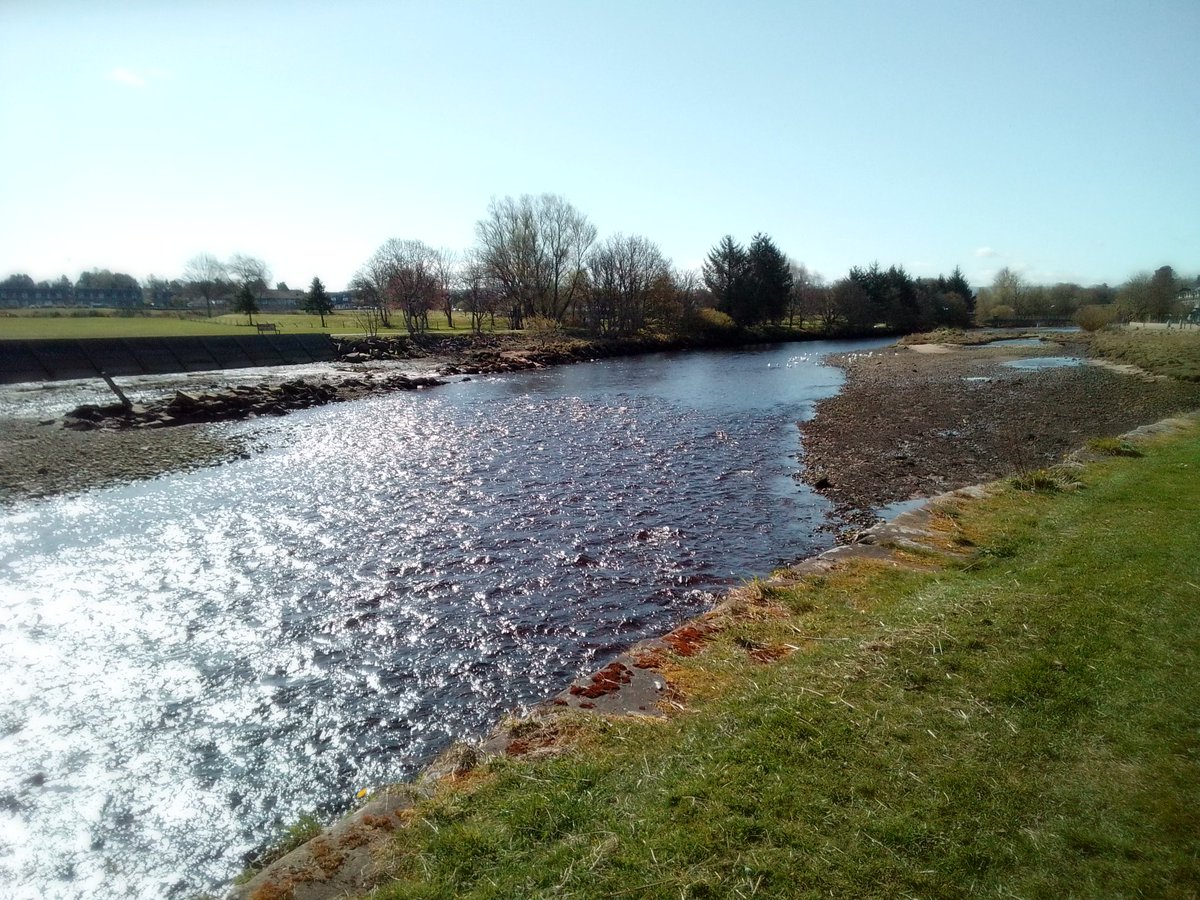 Sun dappling the River #Nairn this morning 🌞