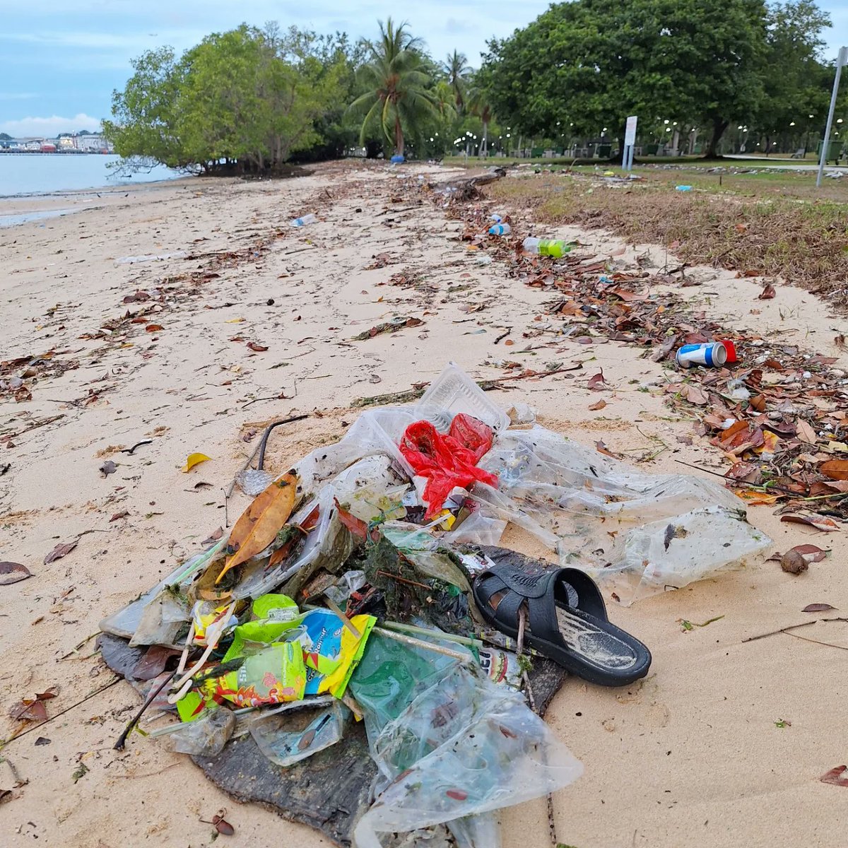 LingeshSonOfGun's tweet image. Forget abt Singapore Green plan, reducing carbon emissions, sustainability, going green etc.how abt we start with cleaning the beaches of Singapore everyday for a start. The amt of rubbish found is appalling.
#cleanseasforthenextgen #doourpart #plasticwaste
