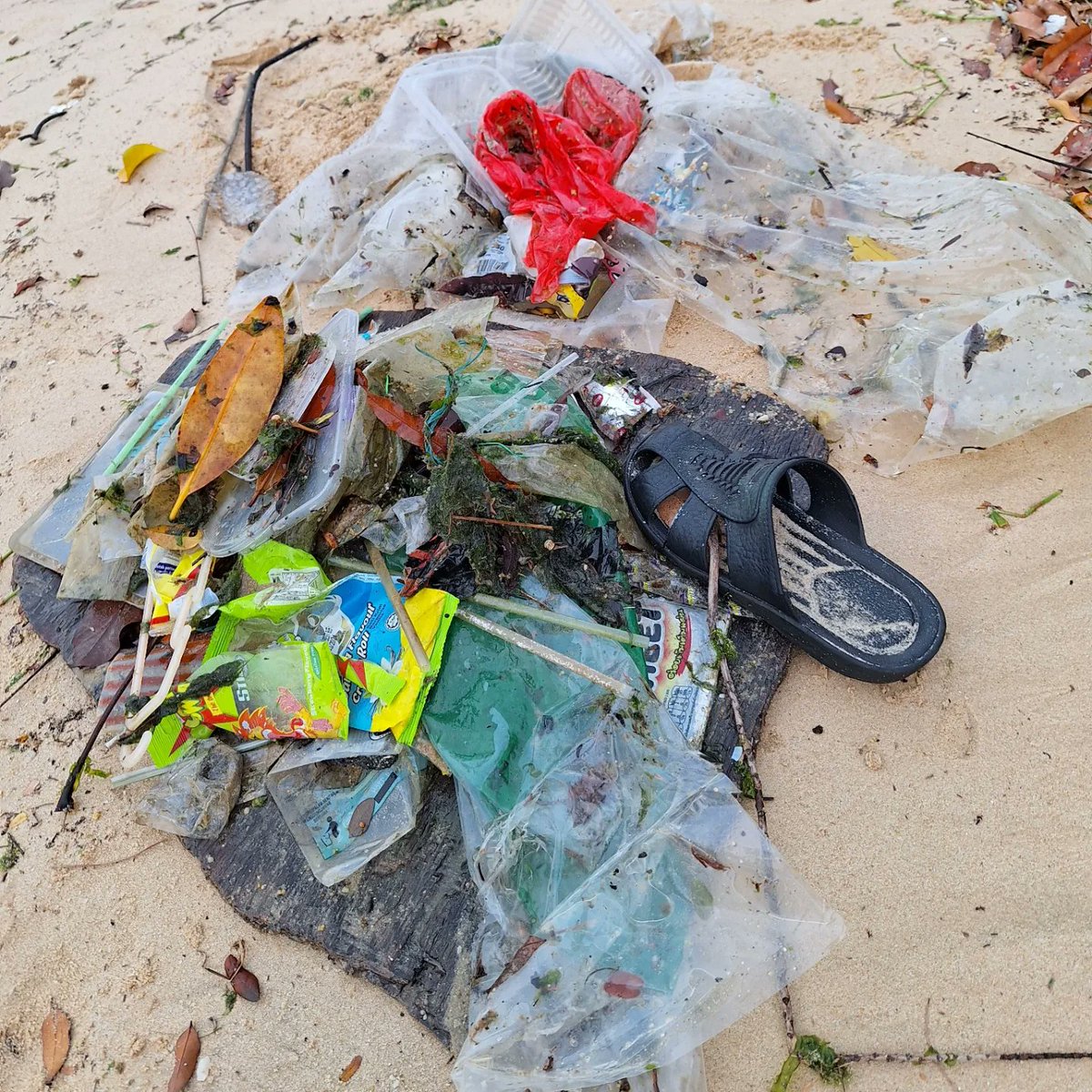 LingeshSonOfGun's tweet image. Forget abt Singapore Green plan, reducing carbon emissions, sustainability, going green etc.how abt we start with cleaning the beaches of Singapore everyday for a start. The amt of rubbish found is appalling.
#cleanseasforthenextgen #doourpart #plasticwaste