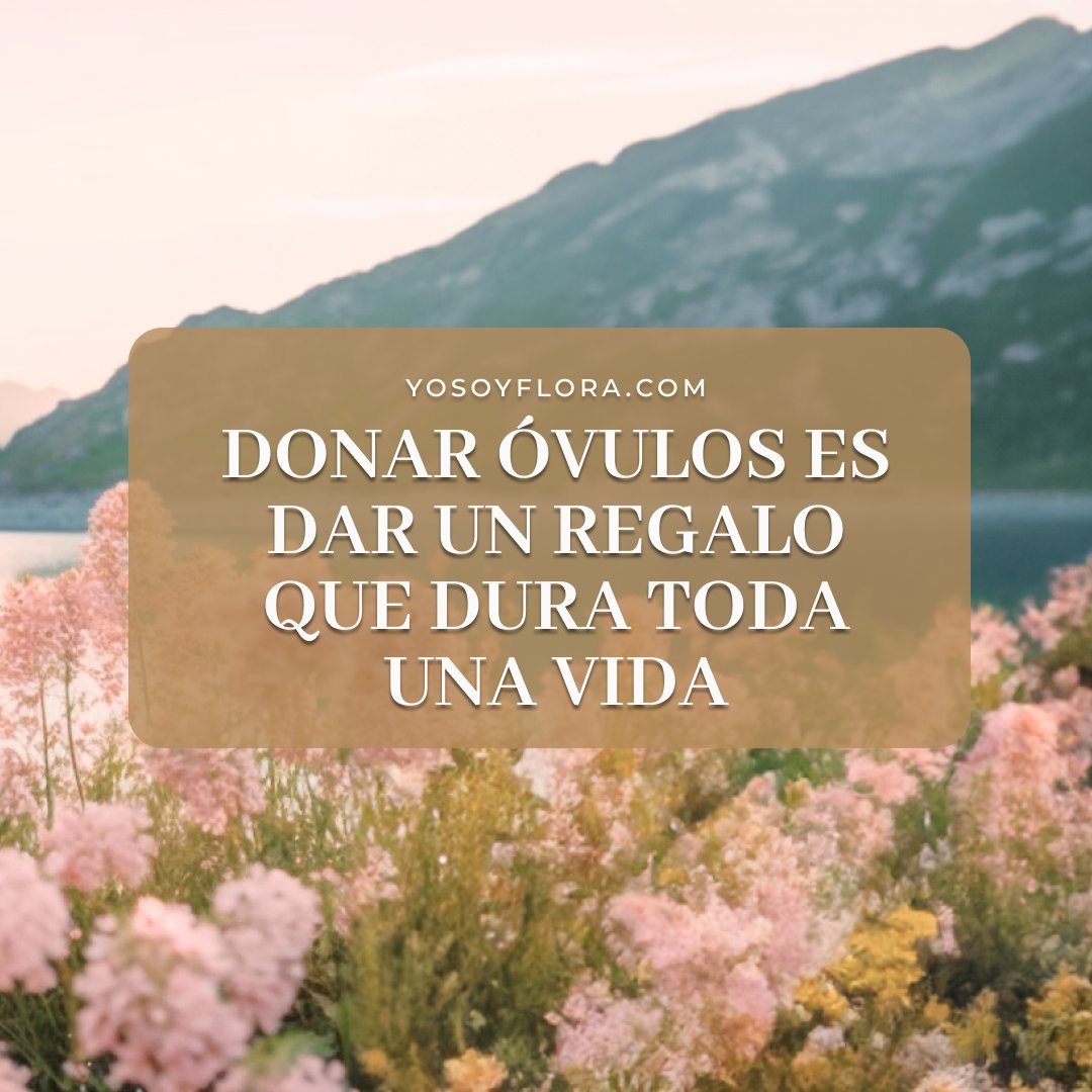 🎁✨ Donar óvulos es dar un regalo que dura toda la vida. Ayuda a cumplir sueños y únete a #YoSoyFlora. 🌼💖 #DonaciónDeÓvulos #RegaloDeVida