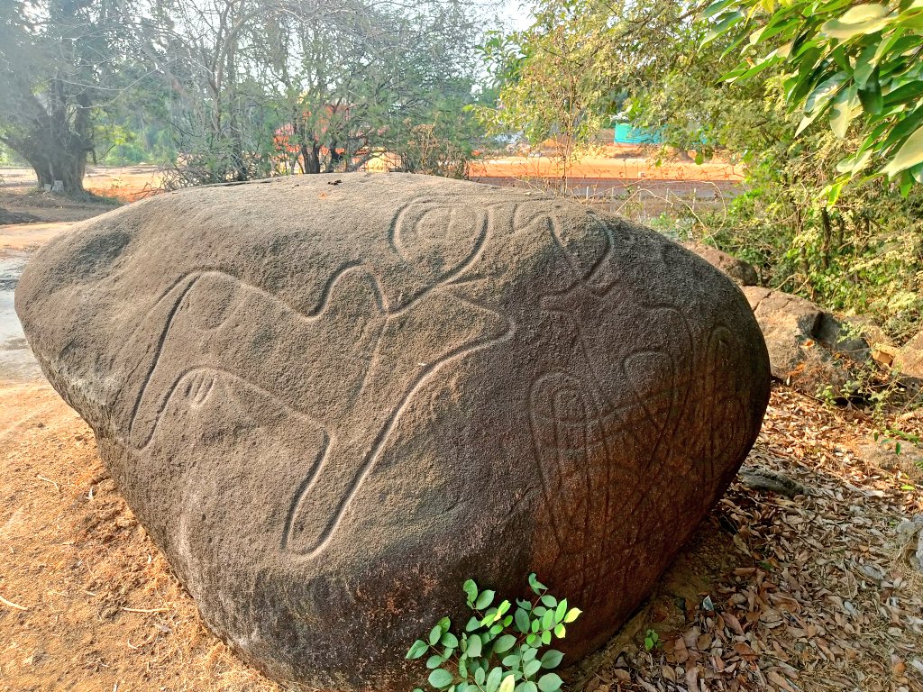 Prehistoric Petroglyphs in Gavali village, Udupi district. On one side of the rock is an engraving of a bull.