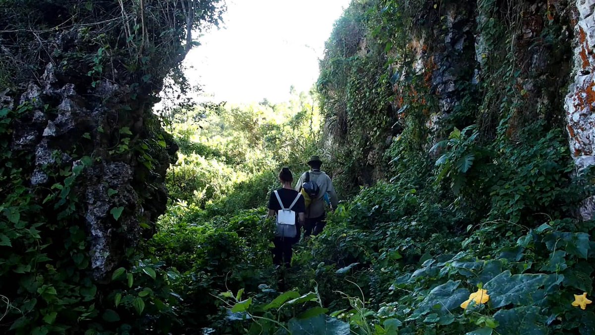 Today's the day! Join is in a few hours at 12pm ET for Gabriela Martinez-Rocourt's DAACS Conversation on the archaeology of coffee plantations in Haiti! Register here: bit.ly/3UbcDe1

<a href="/TJMonticello/">Monticello</a> <a href="/MonticelloArchy/">Archaeology at Monticello</a>